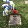 evelynhicks149